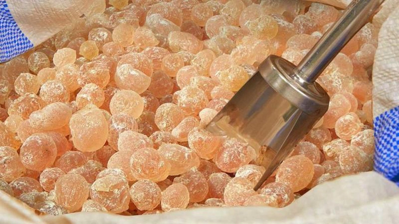 صورة تجربتي مع لبان الذكر للمنطقه الحساسة