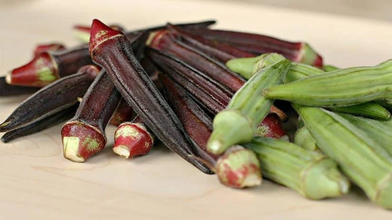 صورة تجربتي مع منقوع الباميا للمفاصل