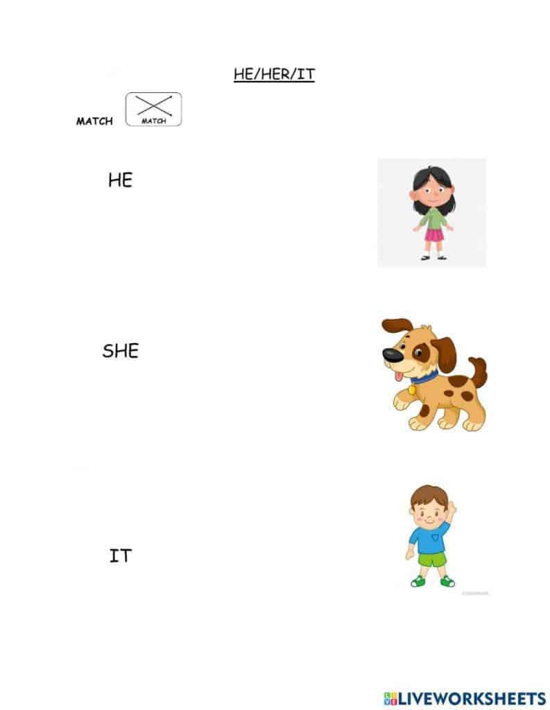 تدريبات على he she it