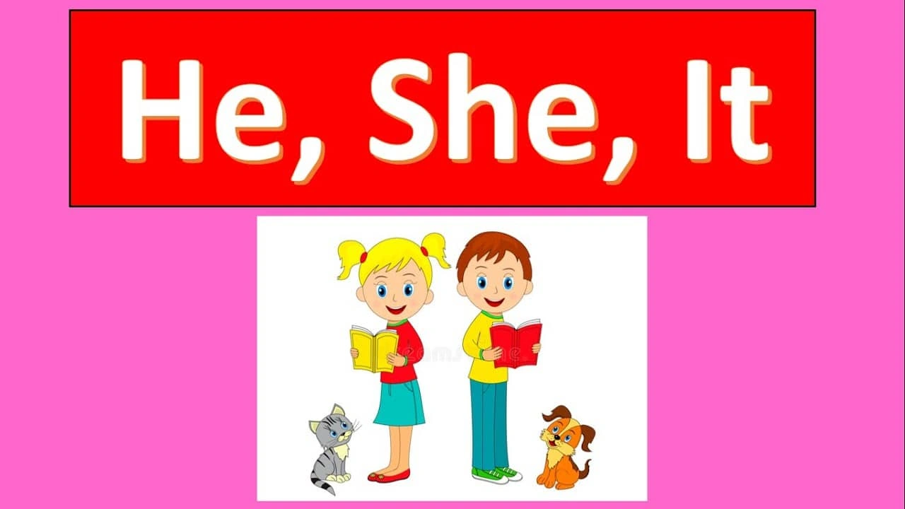 صورة تدريبات على he she it