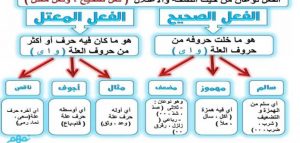 تدريبات على الصحيح والمعتل