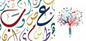 تدريبات على الكشف في المعجم