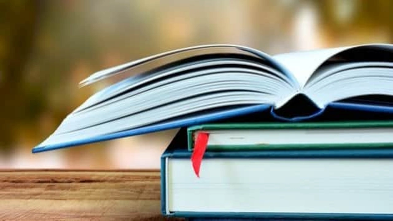 صورة تدريبات على جمع المؤنث السالم وملحقاته