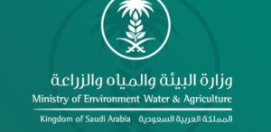 تسجيل الدخول في برنامج دعم صغار مربي الماشية
