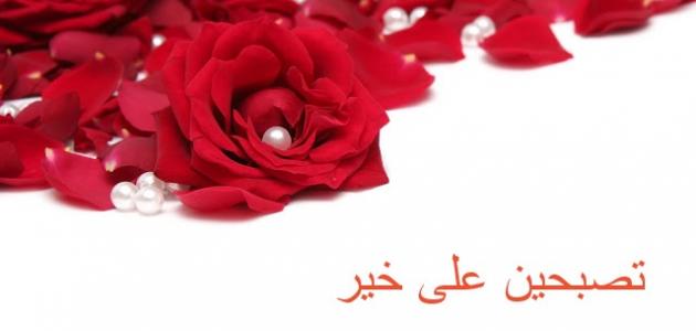 تصبح على حب