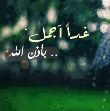 تصبح على حب