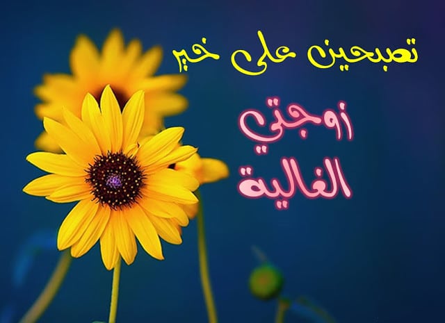 تصبح على حب