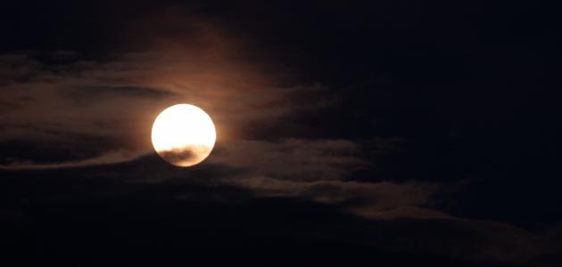 تصبح على خير حبيبي شعر