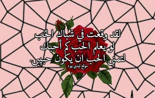 تصبح على خير حبيبي شعر
