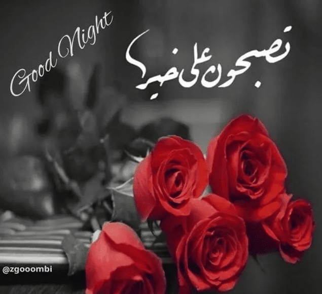 تصبح على خير حبيبي