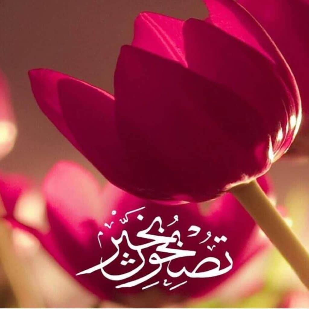 تصبح على خير حبيبي
