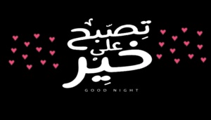 تصبح على خير صديقي