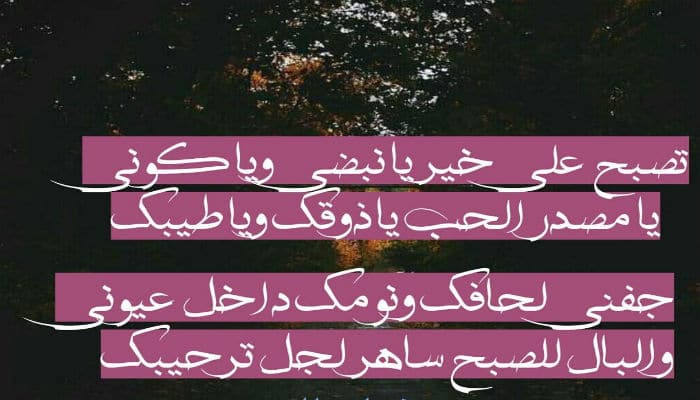 تصبح على خير صديقي