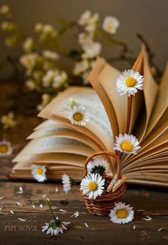 تعريف شعر الغزل الماجن