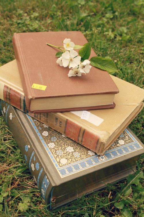 تعريف شعر المدينة