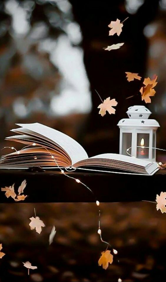 تعريف شعر النقائض لغة واصطلاحا