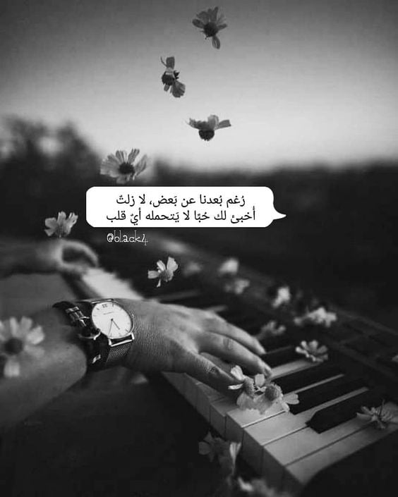 تغريدات حب