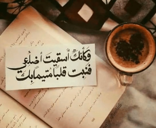 تغريدات حب