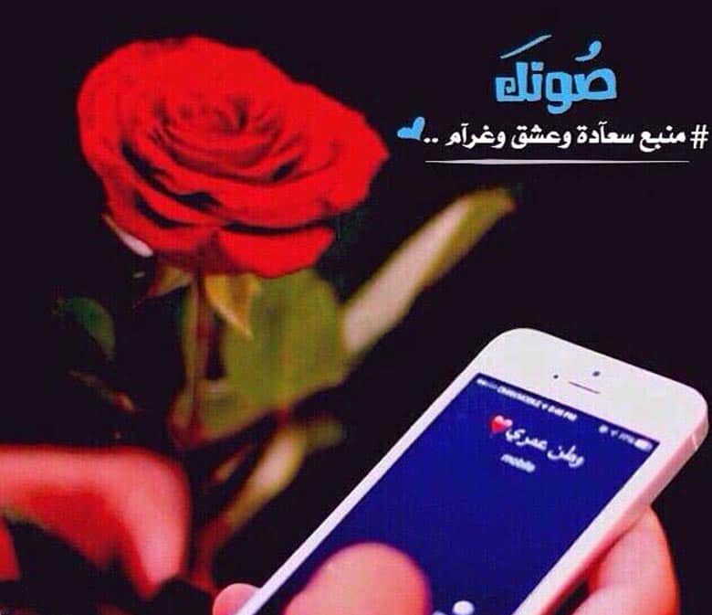 تغريدات حب