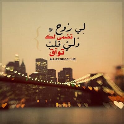تغريدات حب