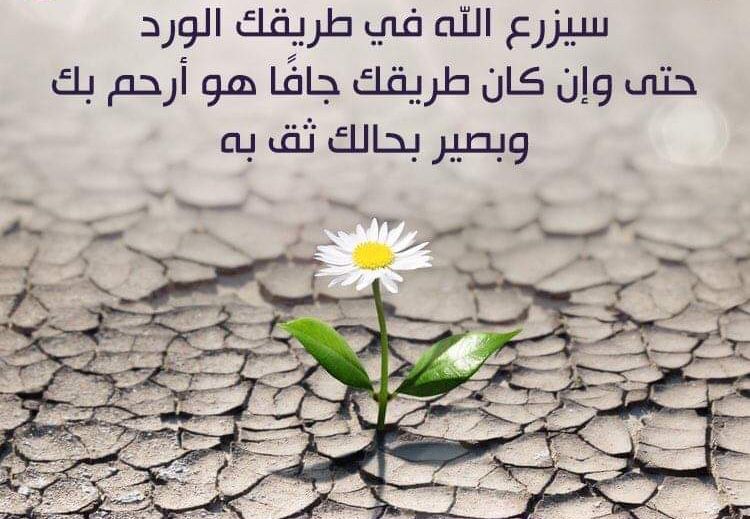تغريدات صباحية