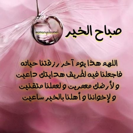 تغريدات صباحية