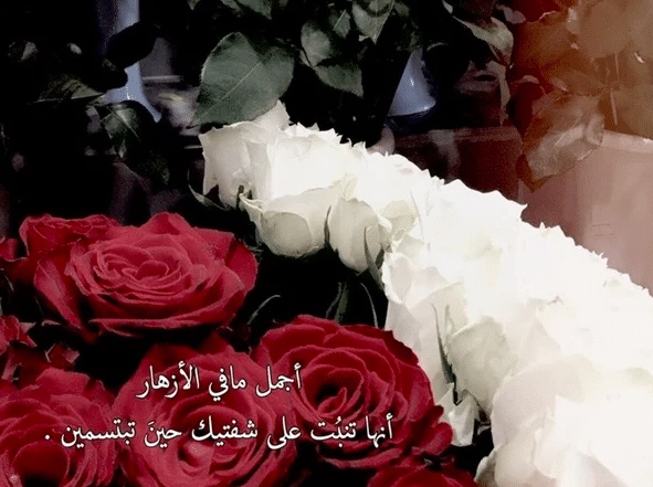 تغريدات صباحية
