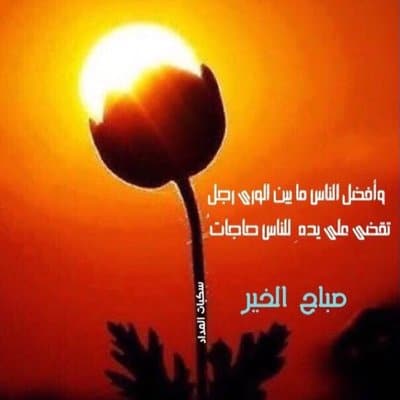 تغريدات صباحية
