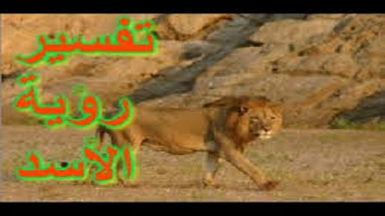 صورة تفسير حلم الاسد