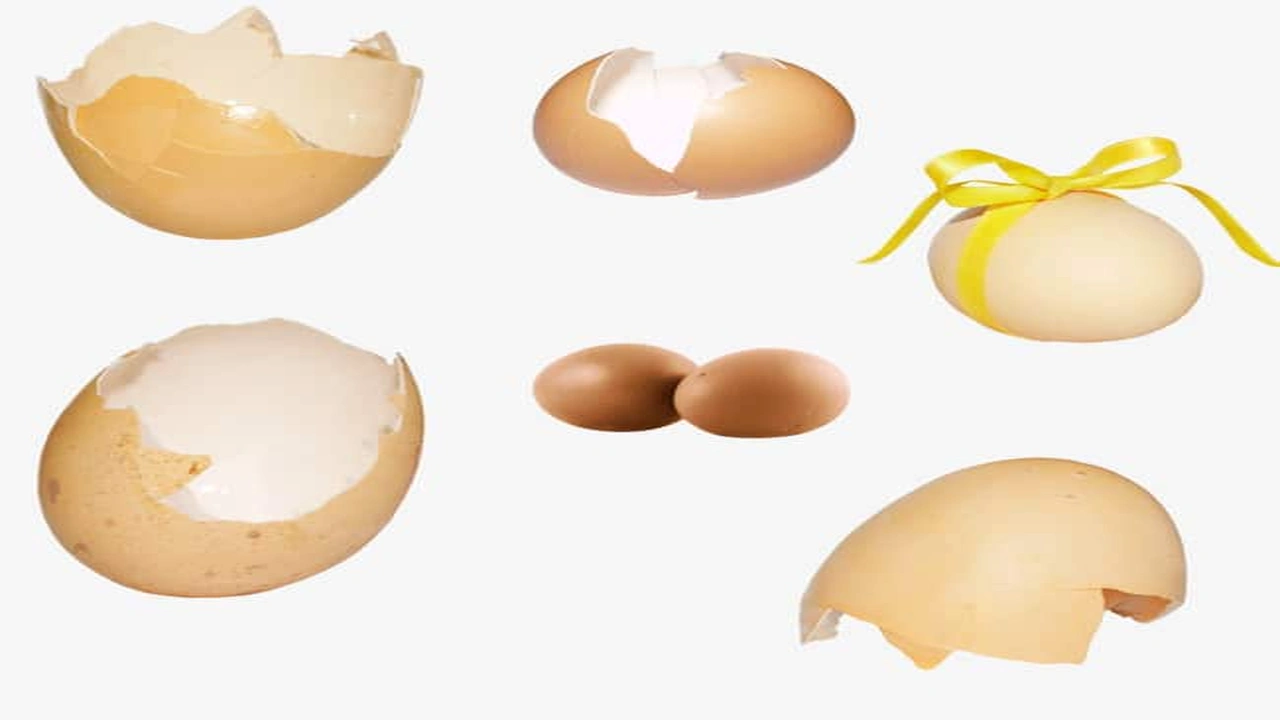 صورة تفسير حلم البيض في المنام