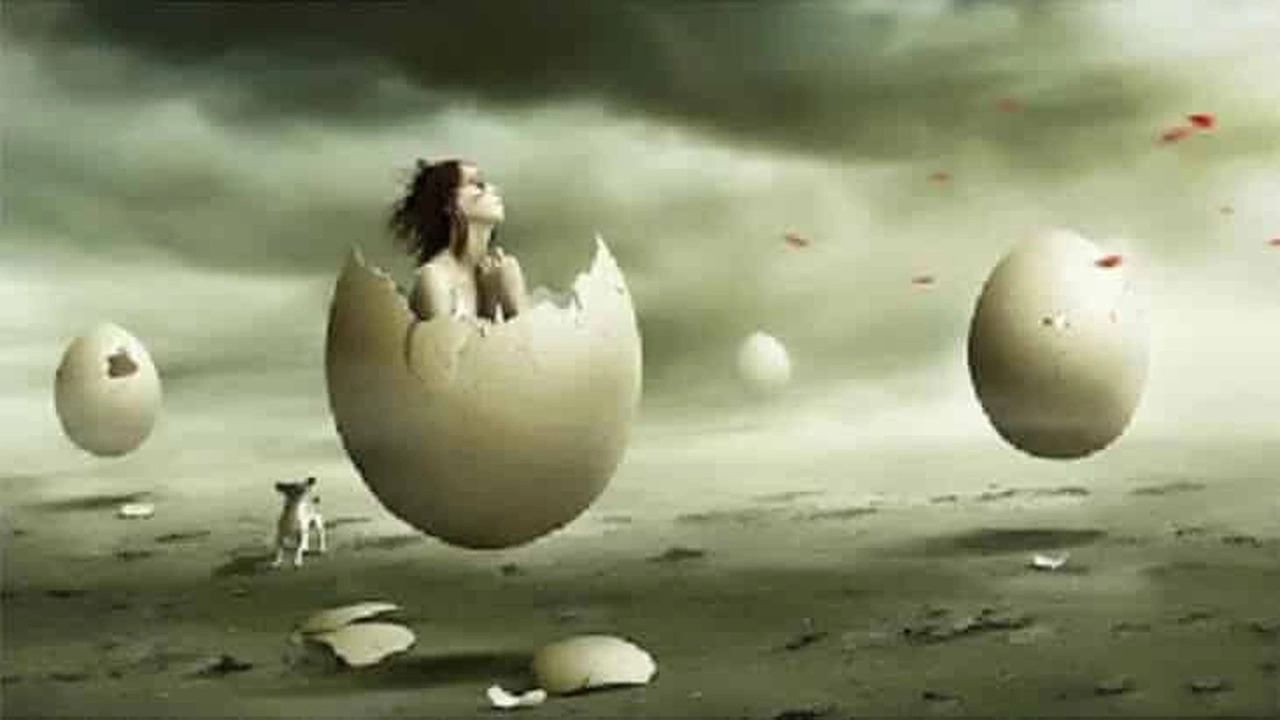 صورة تفسير حلم رؤية البيض في المنام لابن سيرين