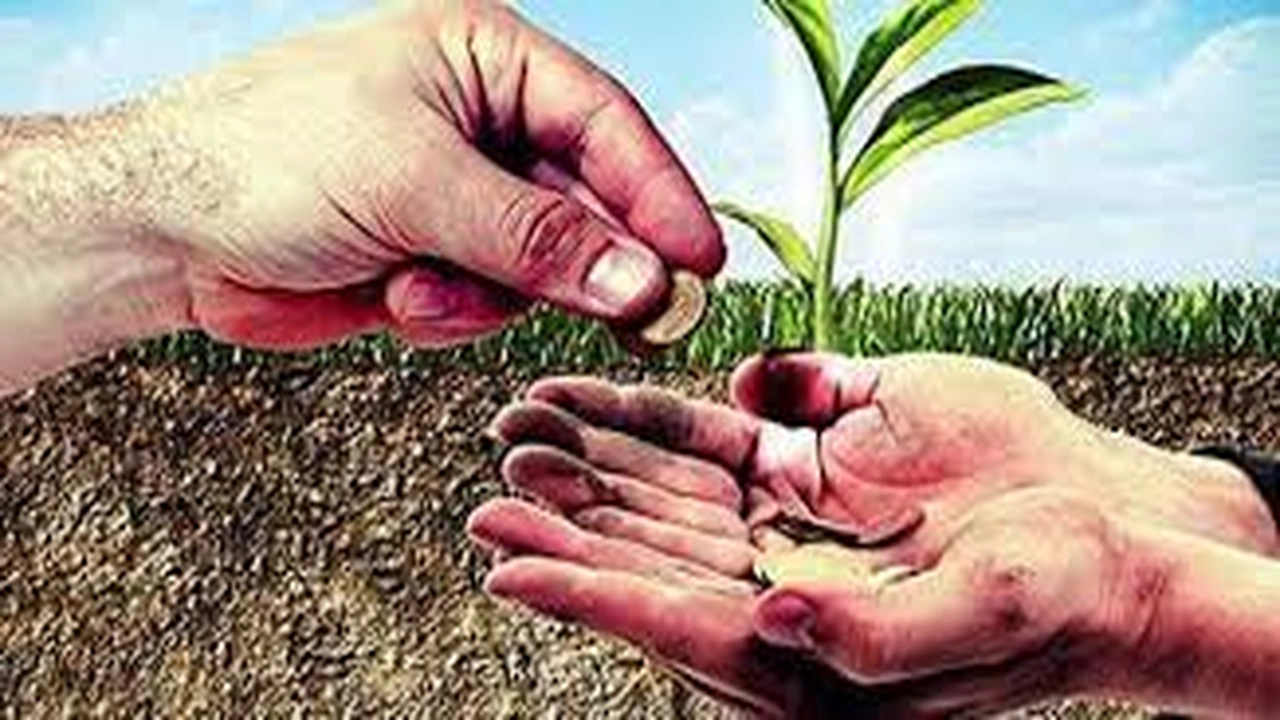 صورة تقرير عن الزكاة