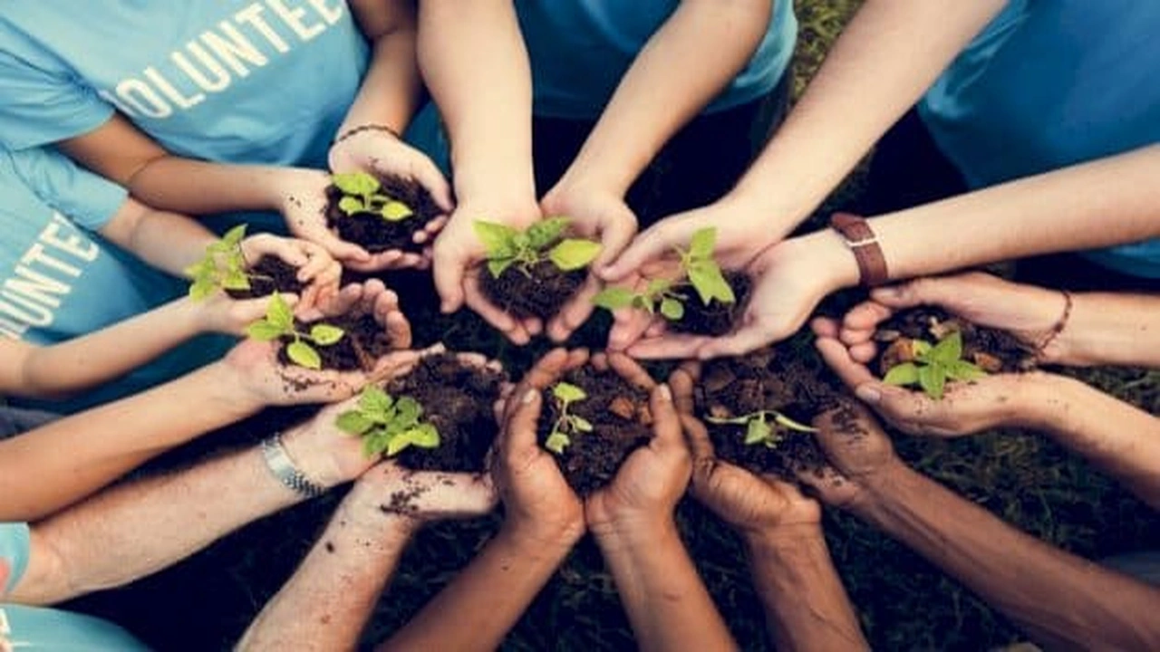 صورة تقرير عن العمل التطوعي جاهز