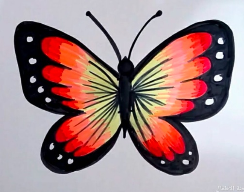 تلوين رسومات ضفدع