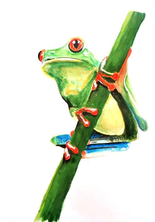 تلوين رسومات ضفدع