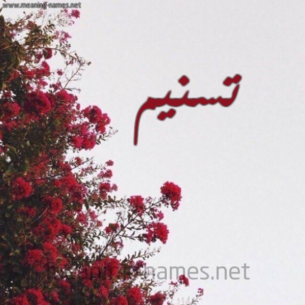 تهنئة عيد ميلاد تسنيم