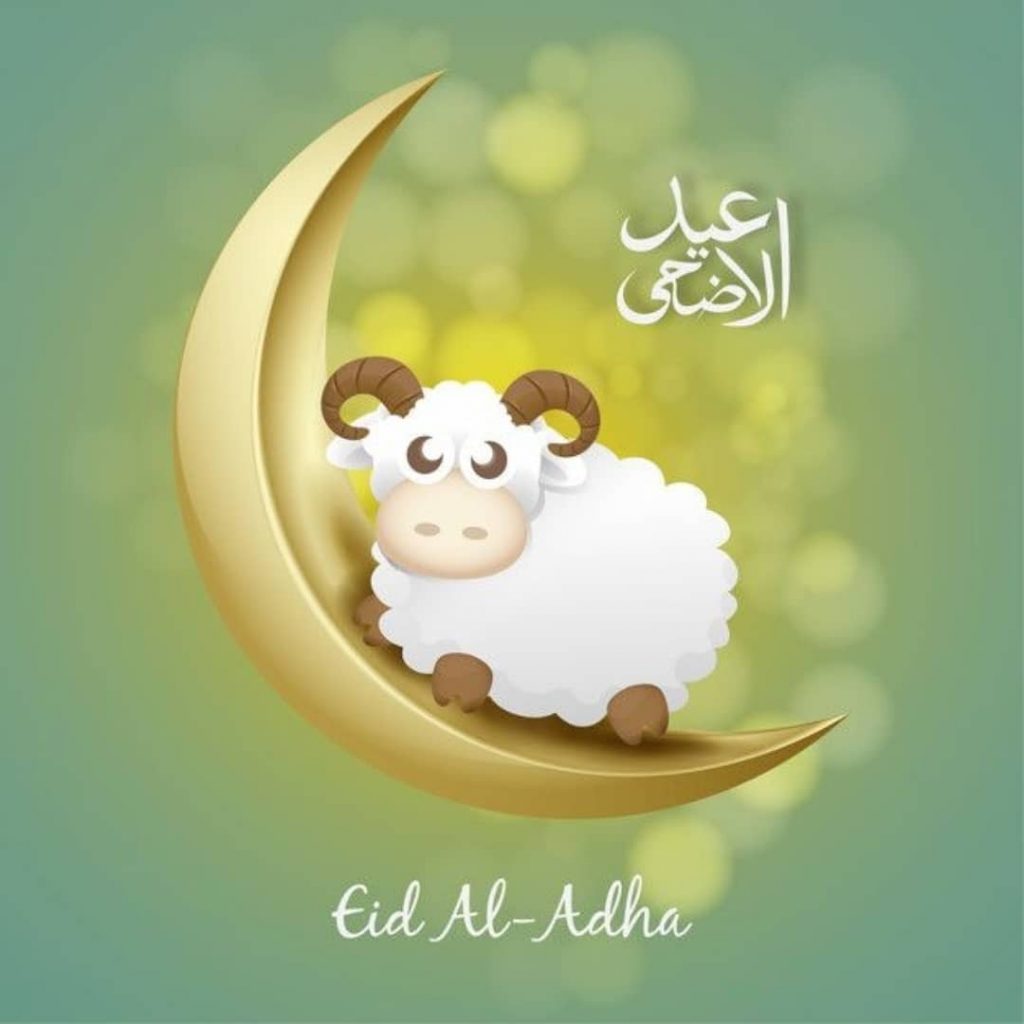 ثيمات عيد الاضحى