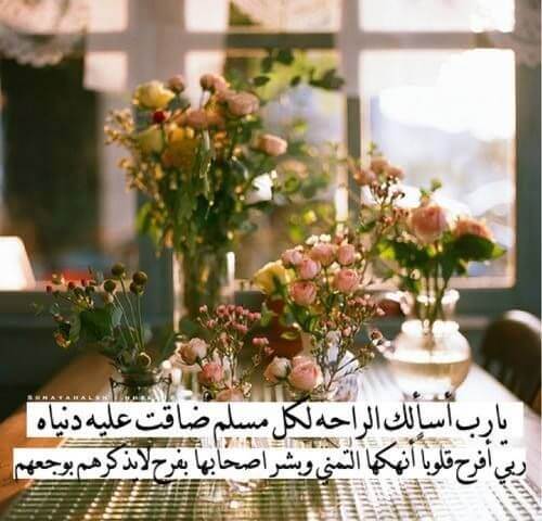 جمعة طيبة للجميع
