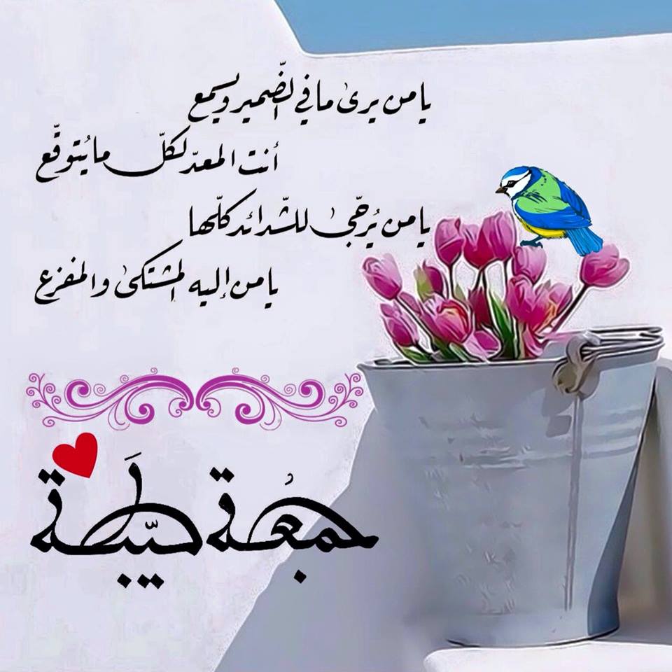 جمعة طيبة مباركة