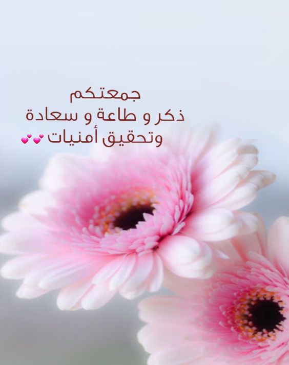 جمعة طيبة