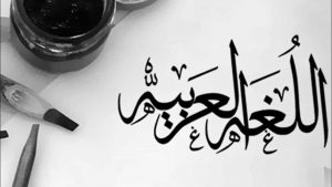جمل تتضمن تمييز ملحوظ