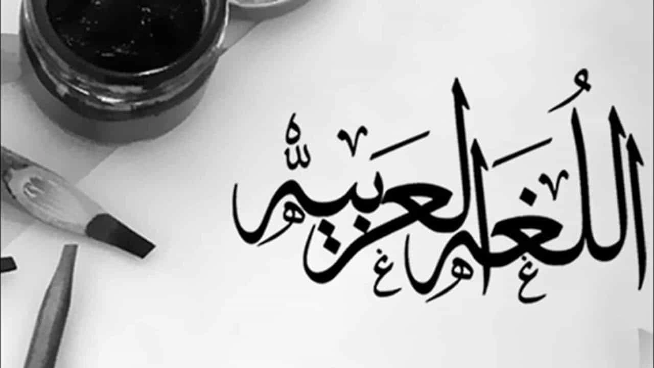 صورة جمل تتضمن تمييز ملحوظ