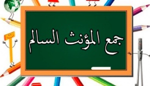 جمل فيها جمع مؤنث سالم