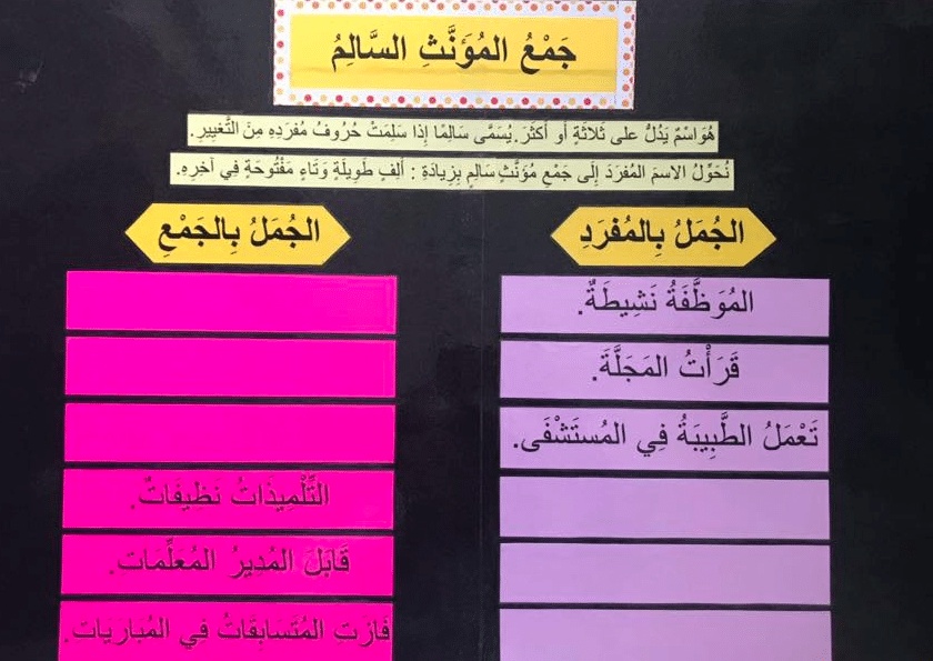 جمل فيها جمع مؤنث سالم