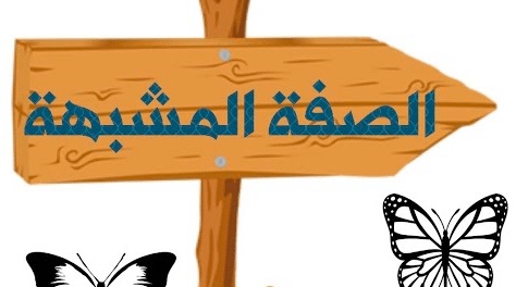 جمل فيها صفة مشبهة