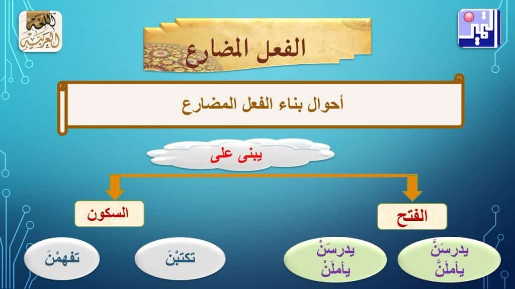 جمل فيها فعل مضارع