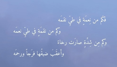 جمل فيها كلمة نقمة