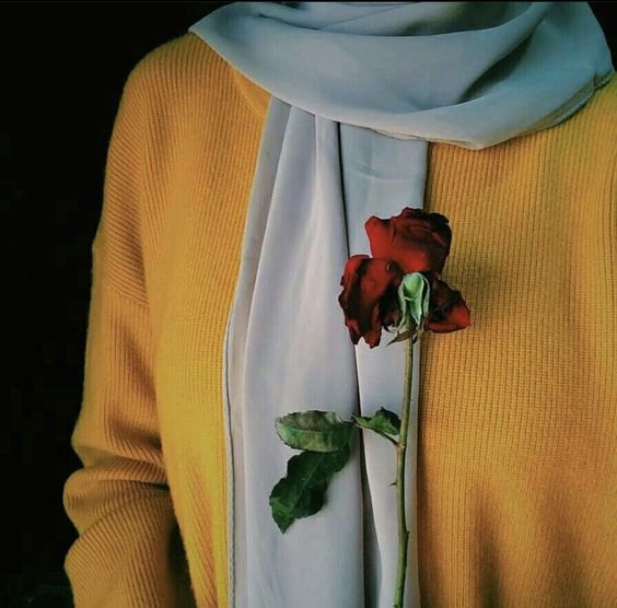 حالات واتس اب بنات كيوت محجبات