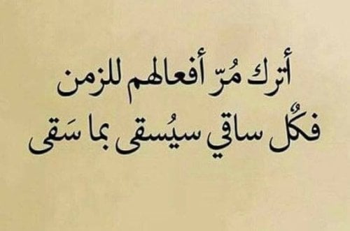 حالات واتس اب حكم وامثال