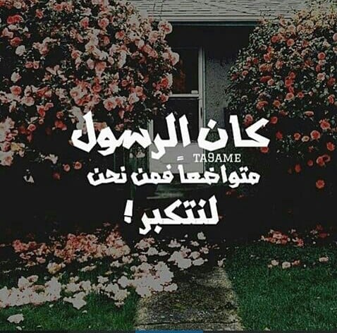حالات واتس اب حكم وامثال